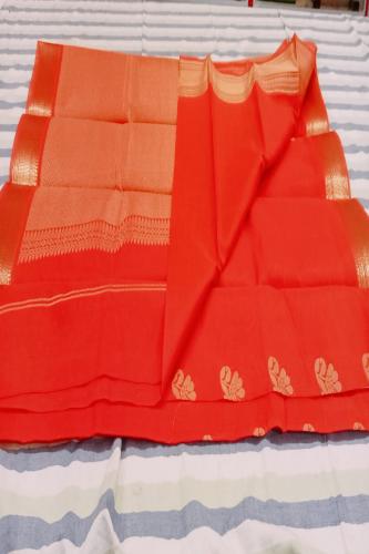 PL BIG BUTTA SAREE